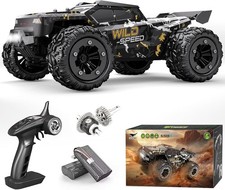 1/16 Brushless RC Auto per