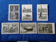 Lotto 6 Cartoline - Nelle