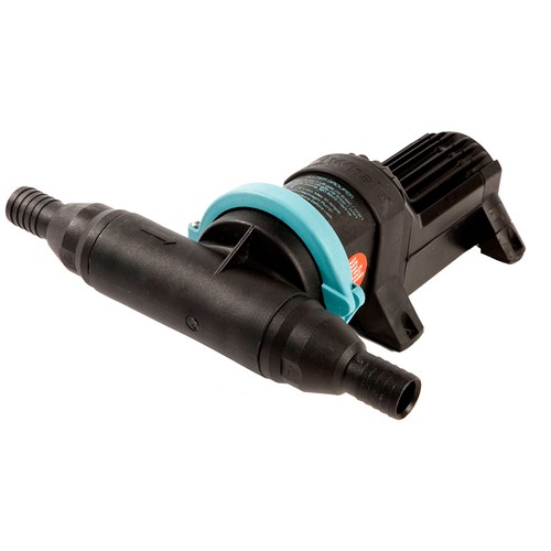 Balena gulper grouper box - box, da