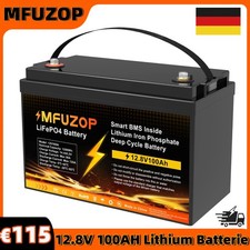 Batteria 12V 100Ah LiFePO4