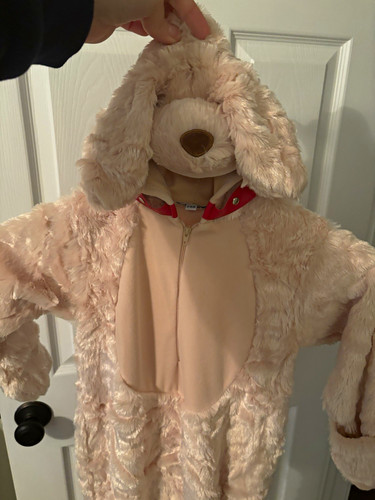 Costume cane dorato letop - costume,