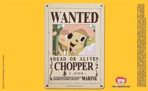 Chopper one piece - piece, wanted