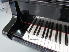 Feltro decorativo per