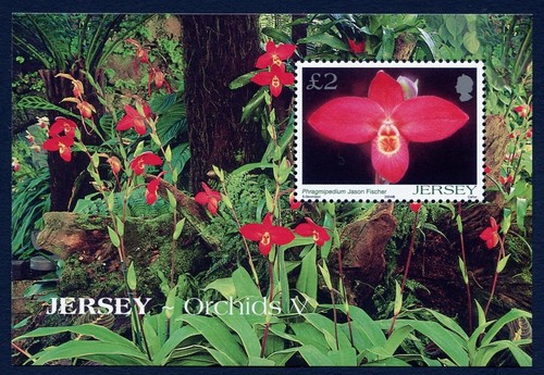 Jersey block 2004 nature - block,