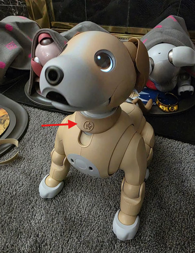 Collare cane robot - , premium