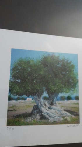 Lamorgese angelo - lamorgese,