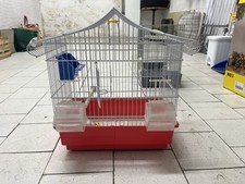 gabbia per canarini