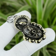 Natural Turritella Agate