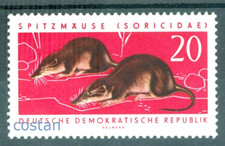 1962 toporagno eurasiatico, (Sorex araneus), animali protetti, Germania/RDT,871,MNH