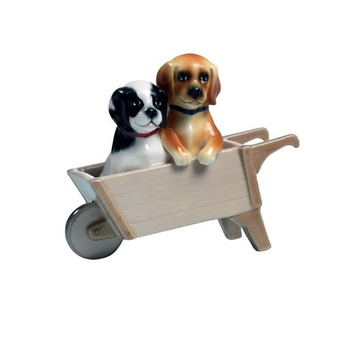 Coppia cani cariola - coppia, in