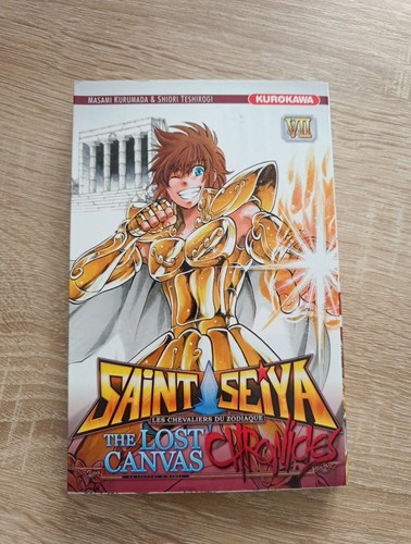 Livre manga saint - manga,
