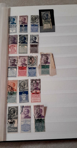 Francobolli regno 1924 serie - 1924,