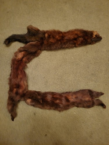 Vintage stole vera - vintage,