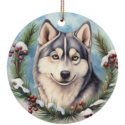 Carino cane siberiano husky