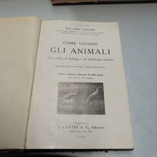 COME VIVONO GLI ANIMALI