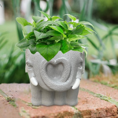 Mini vaso fiori - vaso,