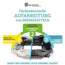 Revisione Pinza Freno