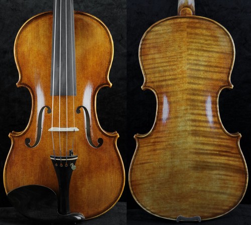 Nicely master violino - master, a