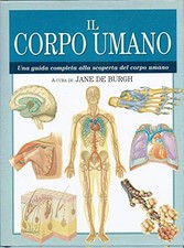 Il corpo umano  Una guida