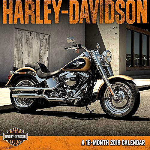 Harley davidson motorcycles - harley-davidson,