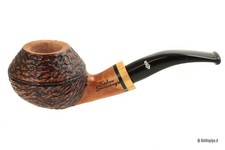 Pipa Santambrogio rusticata -