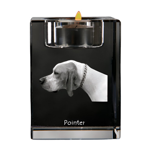 English pointer - english, pointer,