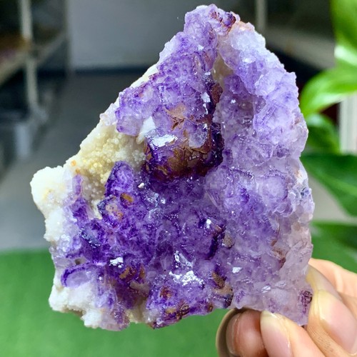 127g viola naturale qr - 127g, "qr