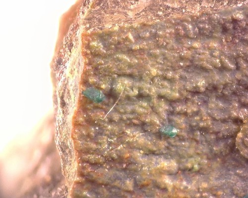 11785 veszelyite baccu - 11785,