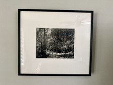 Fotografia originale Ansel