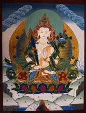 Buddismo Tibetano Signore
