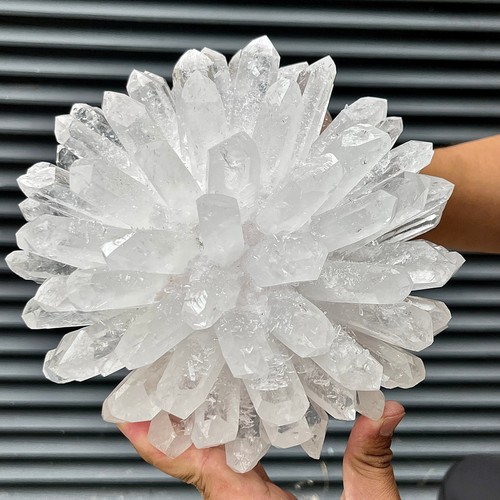 Scultura floreale stile