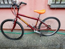 BICICLETTA MOUNTAIN BIKE