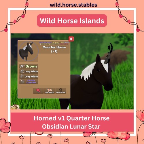 Wild horse islands - islands:, cavallo