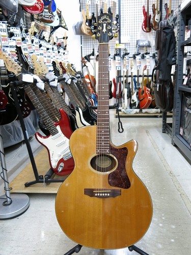 Chitarra elettrica acustica