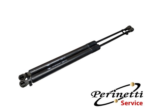 Coppia pistoncini portellone - coppia,