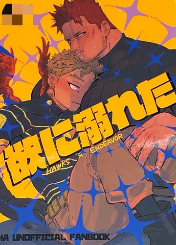 Mha doujinshi hawks endeavor - mha, x