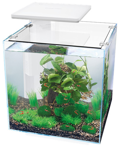 Qubiq pro acquario ltr - acquario,