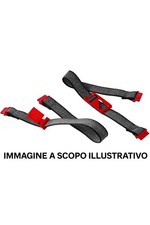 3pz  cinghia cinghiette interna per bauletto valigie compatibili Givi z285 Kappa