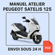 Manuel Atelier Peugeot Satelis