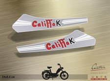 COPPIA ADESIVI RIZZATO ATALA