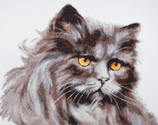 Kit punto croce contato gatto