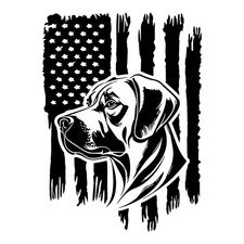 Adesivo decalcomania patriota