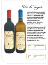 Vino Aglianico Falanghina 