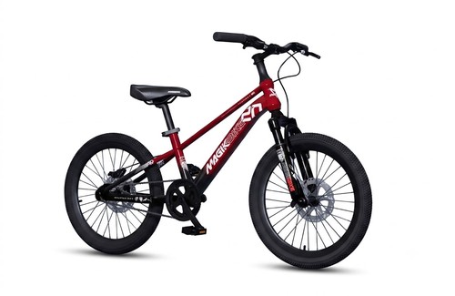 Bicicletta per bambini - bicicletta, 6-8