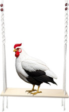 Altalena per Pollaio, Giochi