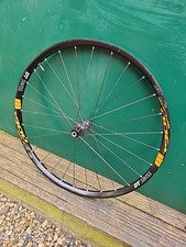 ruota posteriore dt swiss 29