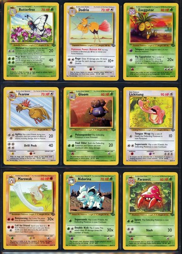 Set completo jungle - jungle, •