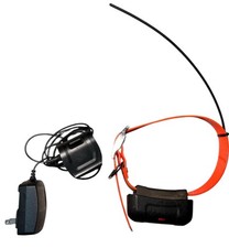 Garmin DC40 GPS Collare di