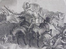 Donna su carro allegoria