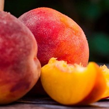 PIANTA DA FRUTTO PESCA